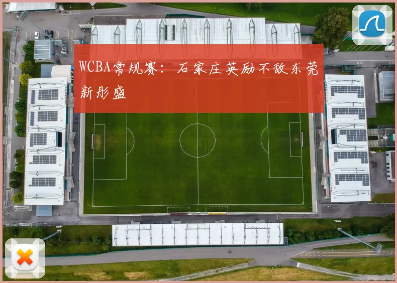 WCBA常规赛：石家庄英励不敌东莞新彤盛