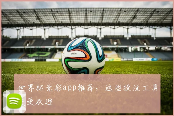 世界杯竞彩app推荐，这些投注工具更受欢迎