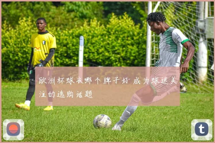 欧洲杯球衣哪个牌子好 成为球迷关注的选购话题