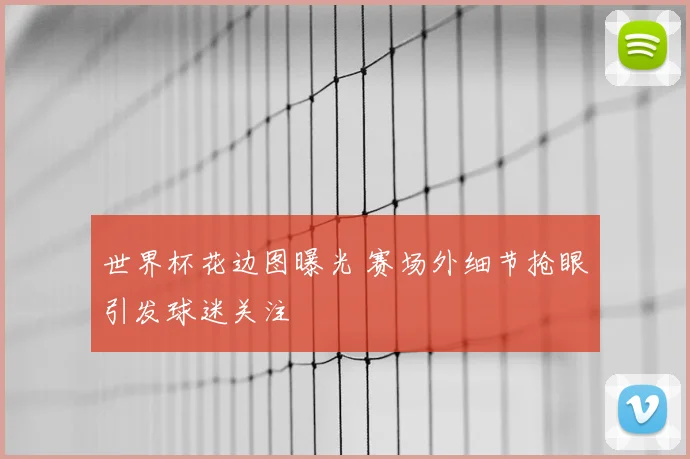 世界杯花边图曝光 赛场外细节抢眼引发球迷关注